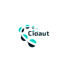 CIDAUT